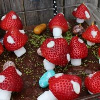 mushrooms mushrooms